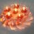 Floating Transparent Diyas (Deepak Jyot)